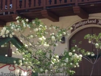 Switzerland Haus Bed and Breakfast Inn 