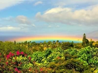Hideaway N Paradize 