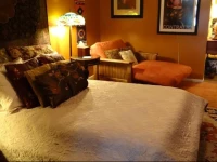Studio Apartment - Rego Park 