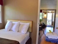 Delton Oaks Resort 