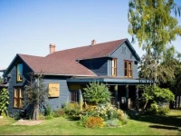 Golden Tree Hostel 