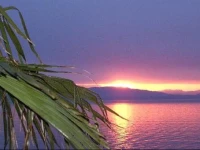 Shady Shores Beach Resort 4*