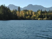 Lake of the Woods Resort 