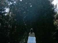 Jabberwock Guesthouse 