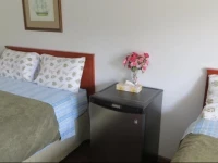 Dolphin Motel 
