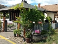 Mount View Motel 