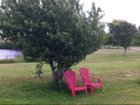 Argyle By The Sea Bed & Breakfast 