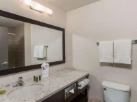 Best Western Plus Chestermere Hotel 