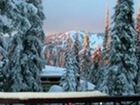 Silver Star Stays - The Knoll 4*