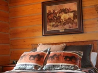 The Wilderness Way Adventure Resort 