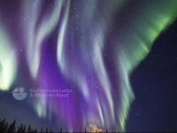 Blachford Lake Lodge 