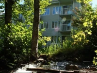 Les Chalets Alpins - Chemin du Hameau 3*