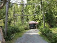 C&N Backpackers - Ucluelet 