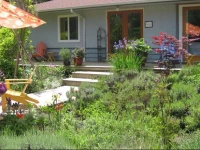 Wisteria Guest House 