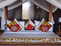 Tarangire Simba Lodge 