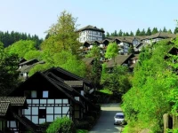 Dorint Sportresort Winterberg-Sauerland 4*