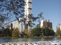 Sofitel Tokyo 4*