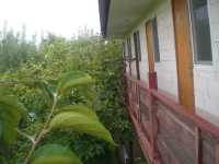 Kamelia Guest House 