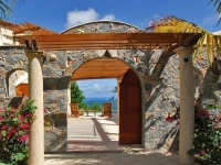 Coral Oasis 