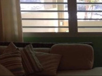 Coconut Apartment