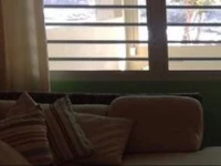 Coconut Apartment 