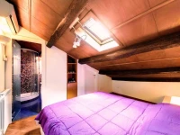 Purple Home Fandango 