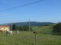 B&B Ziamelia 