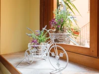 Casa Vacanze Romano 
