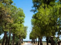 Masseria San Paolo 