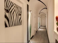 Suite 51 