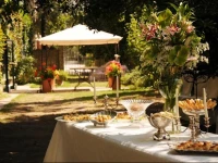 Azienda Agricola Palazzo Manzoni 