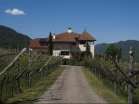 Weinberghof 