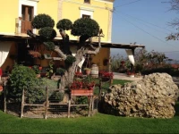 Agriturismo La Rosa Dei Venti 