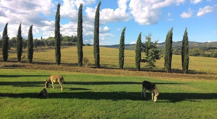 Fattoria Di Casavecchia 