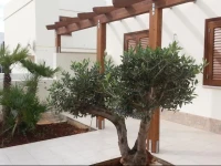 Casa Baron 