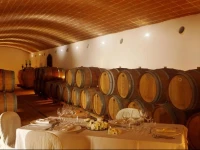 Tenuta Casteani Wine Resort 