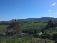 Madonna della Rosa 