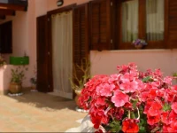 Vacanze Morfino 
