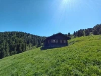 Hauserhof 