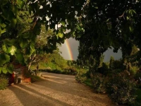 Il Poggiolo di Parrano 