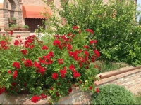 Il Frattiero B&B 
