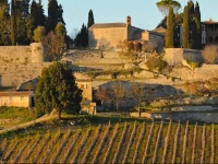 Campriano 
