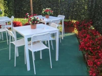 Il Gelso di Paestum 