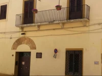 B&b Nosteon 
