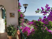 Casa Vacanze Bouganvillea 