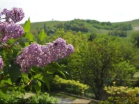 Tenuta Calabiana 