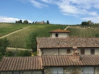Il Vichiaccio 