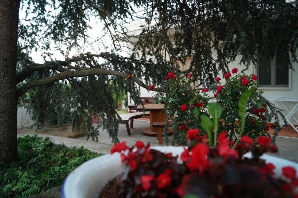 La Casa Del Nonno 