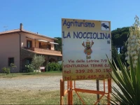 Agriturismo La Nocciolina 