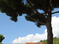 Villa Boldrini b&b 
